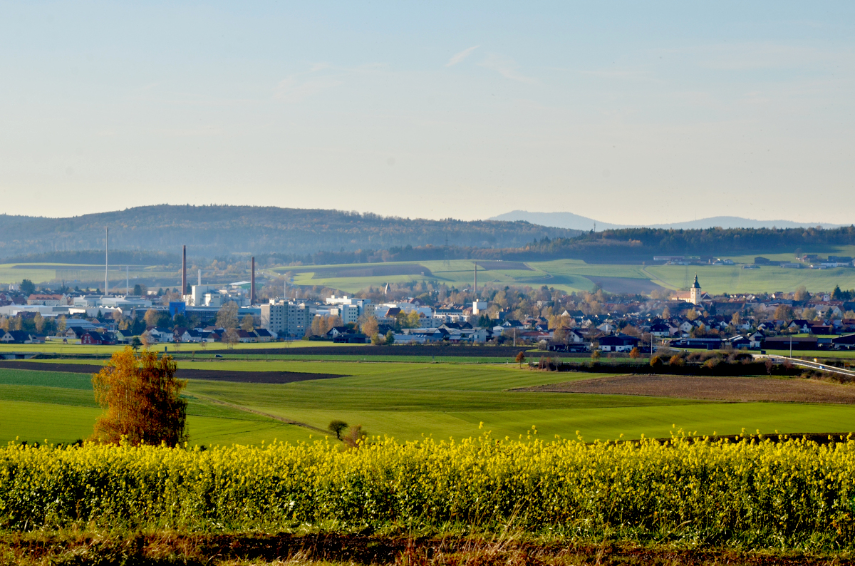 Panorama-Ansicht von Mitterteich - im Vordergrund ist ein blühendes Rapsfeld zu sehen - im Hintergrund hinter ein paar Wiesen und Feldern Häuser und Fabrikgebäude der Stadt Mitterteich - auf der rechten Seite ist der Kirchturm erkennbar